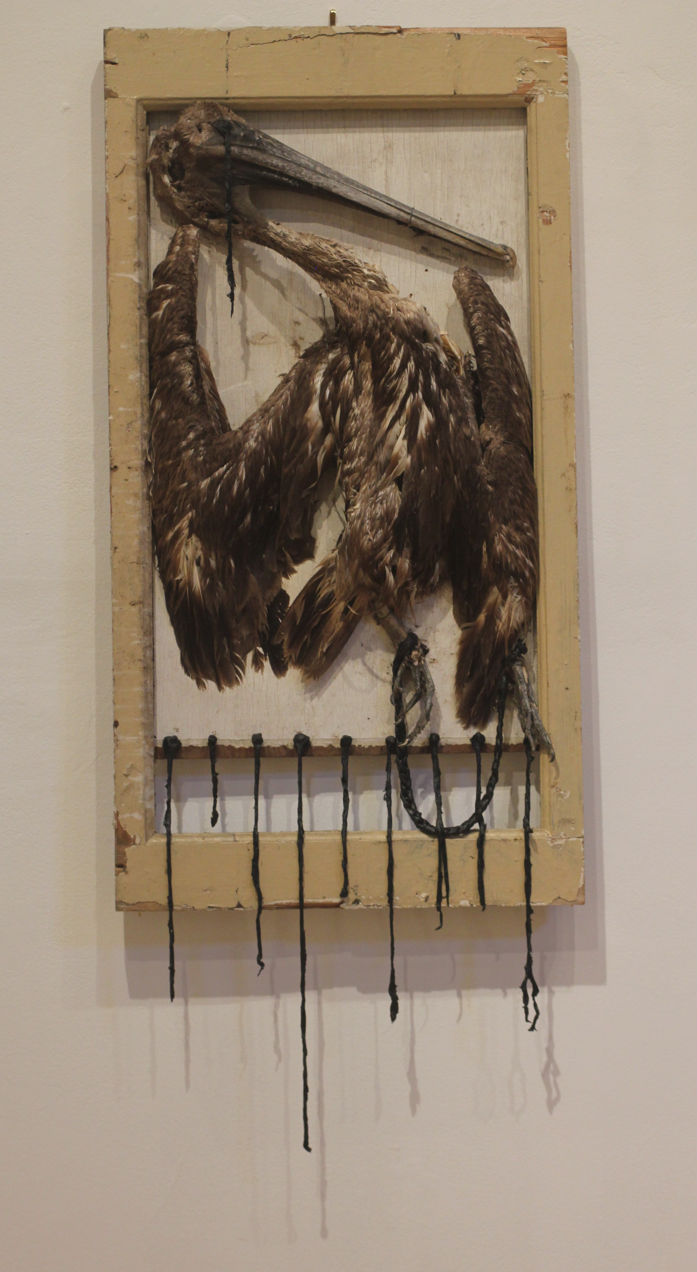 Tar/Feathers (from Thicker Than Water)